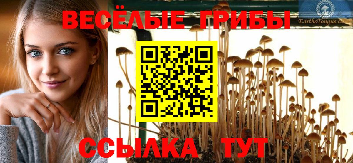 Губкин  Галлюциногенные грибы прущие грибы  Вход с VPN 